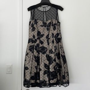 Beautiful black and gold Eliza J cocktail dress